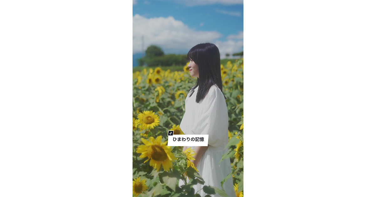 寺本勇也が監督・脚本を務めたショートドラマ「ひまわりの記憶」がTikTok TOHO Film Festival 2024のファイナリストにノミネートされました!のアイキャッチ画像